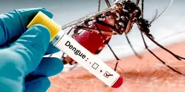 Dengue: amplían las medidas para eliminar definitiva el Aedes aegypti