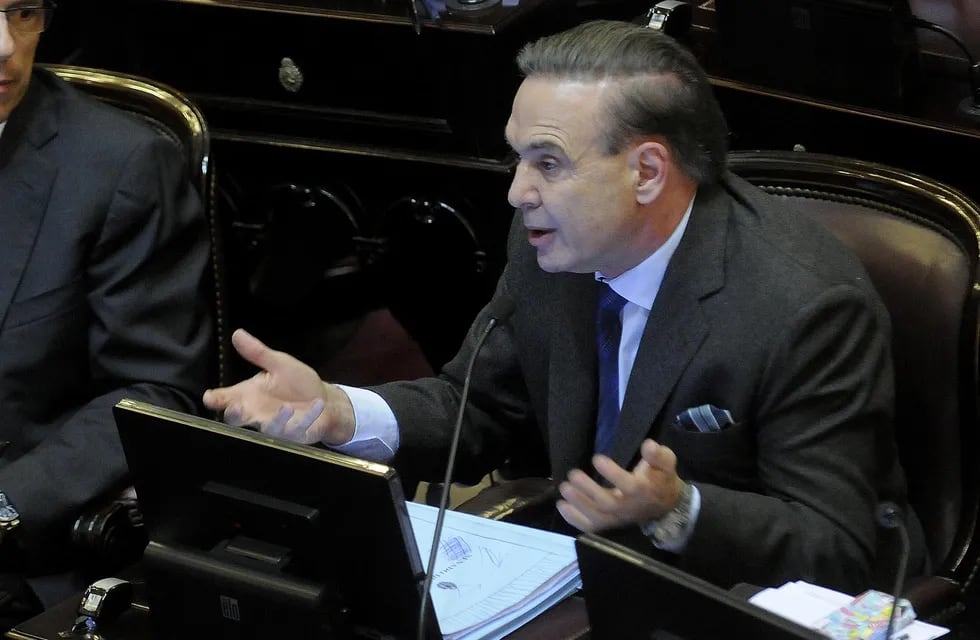 Jefe de los senadores del PJ, Miguel Pichetto. Foto: DYN.