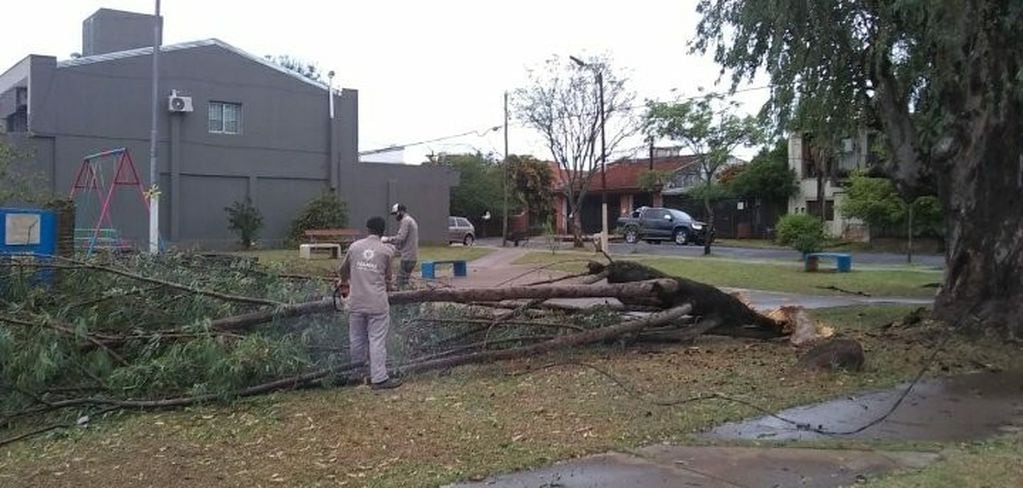 Municipales solucionan parte de los daños causados por tormenta en Posadas.