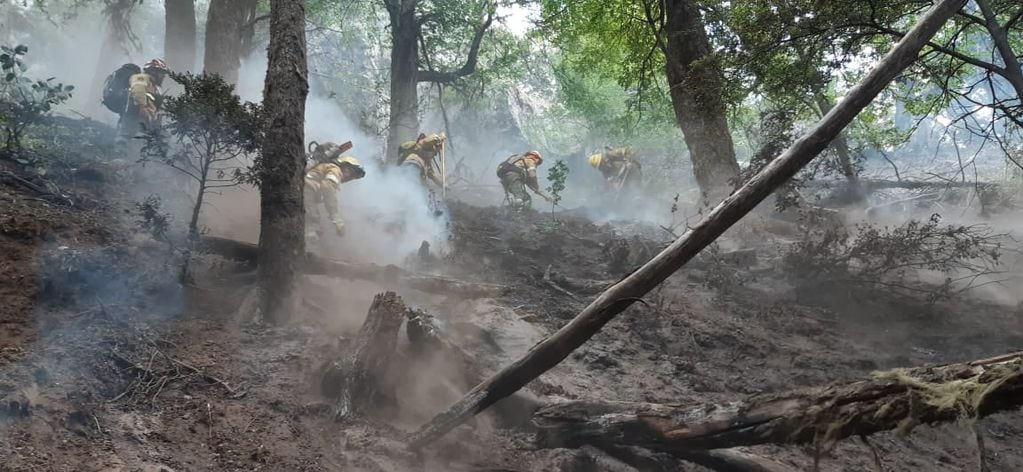 Se reactivó el incendio forestal cerca de El Bolsón.