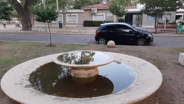 Fuente con agua podrida frente a la dirección de espacios verdes de Córdoba