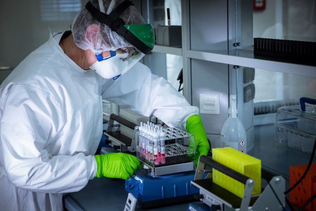 Un trabajador de un laboratorio prepara muestras para su análisis durante la crisis de coronavirus. (Foto: Peter Steffen/dpa)