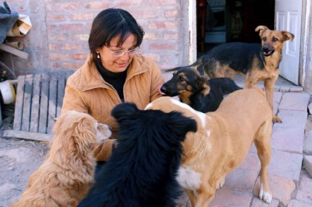 La mujer tiene 9 perros que rescató de la calle.-