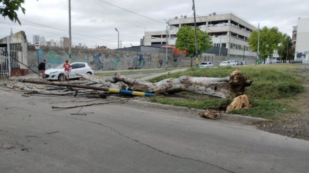 El fuerte viento provocó enormes destrozos en Rosario