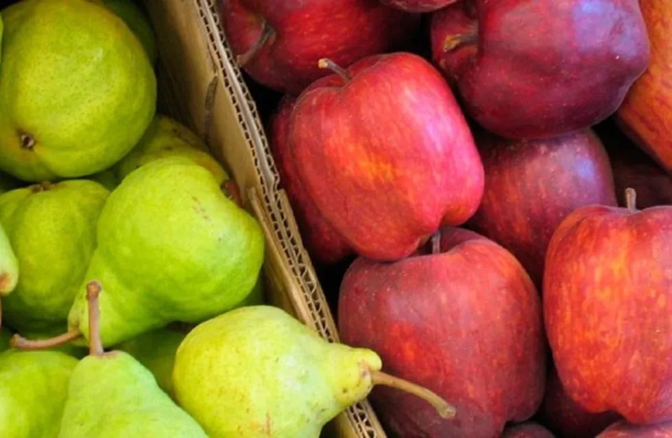Exportación de peras y manzanas.