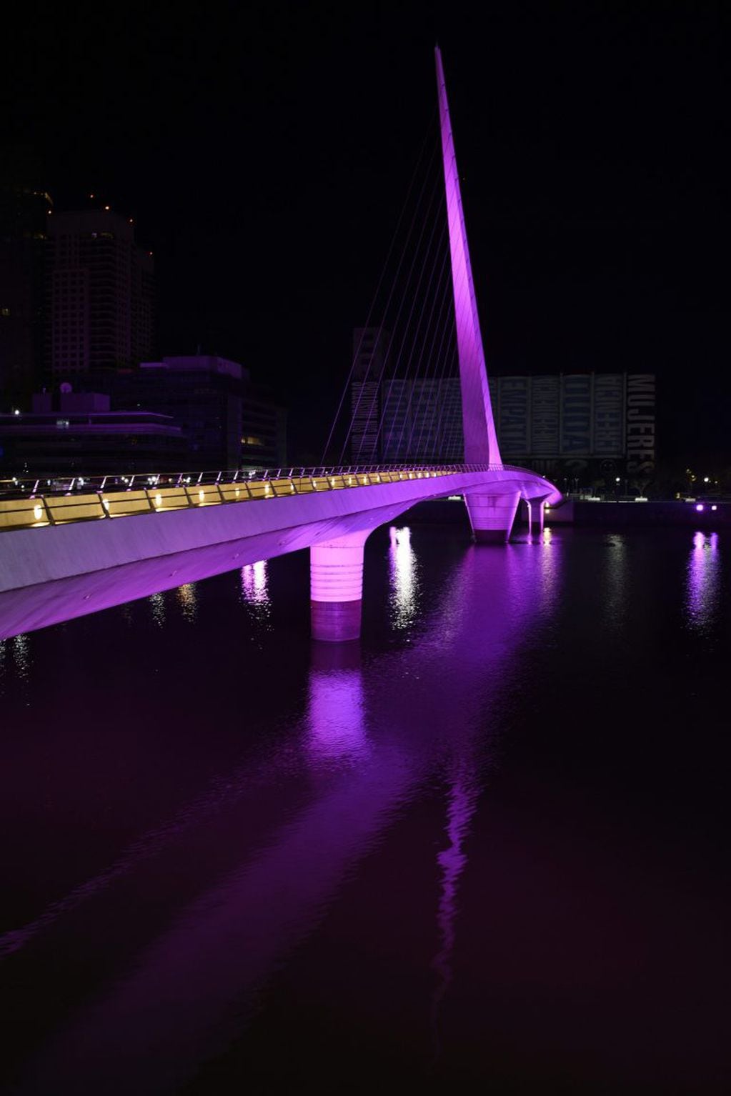El  Puente de la Mujer en Puerto Madero iluminado en conmemoración a los 10 años del matrimonio igualitario.  (Juan Mambromatta / AFP)