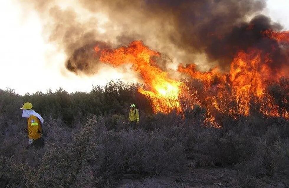 Incendio forestal en San Luis. Foto: ANSL