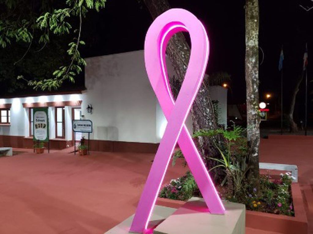 Puerto Iguazú: inauguran un lazo simbólico como prevención del cáncer de mama.