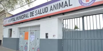 El Hospital de Salud Animal incorpora un día más para otorgar turnos