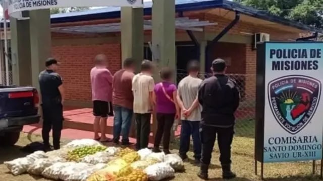 San Ignacio: posadeños cayeron en el robo de cítricos