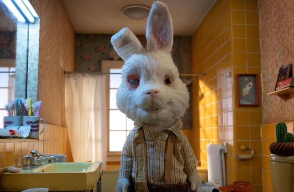 El conejo "Ralph" del video que se volvió viral. (Gentileza)