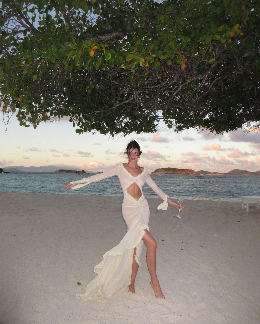 Kendall Jenner burló la censura con un vestido transparente y ajustado