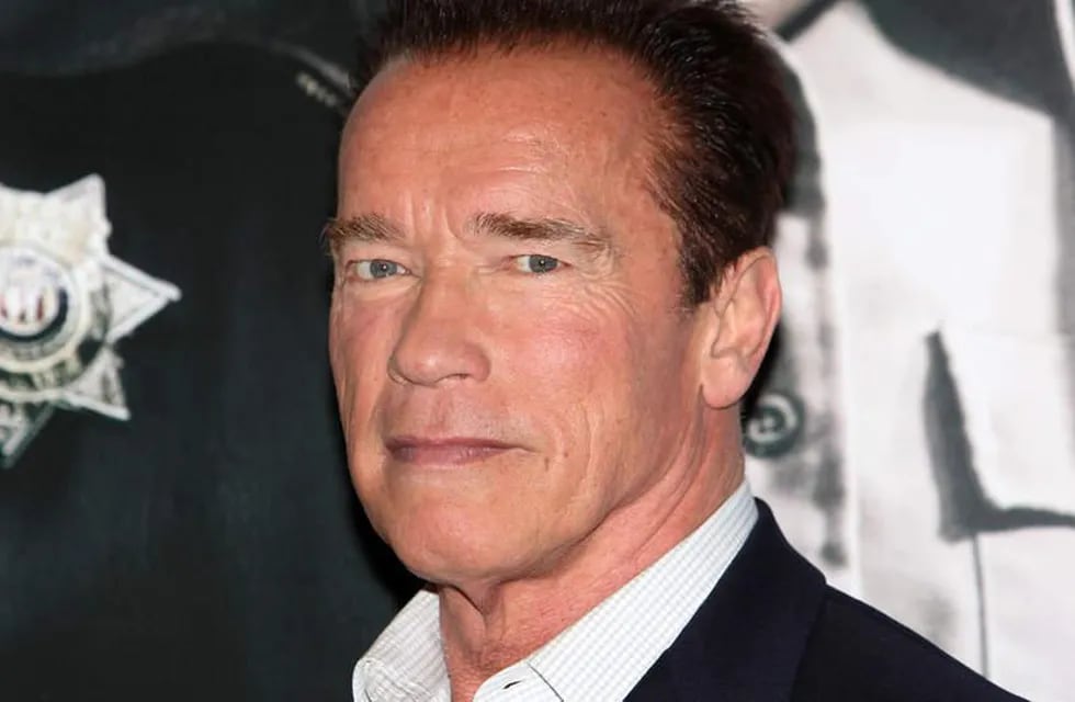 Arnold Schwarzenegger ileso tras protagonizar un choque múltiple.