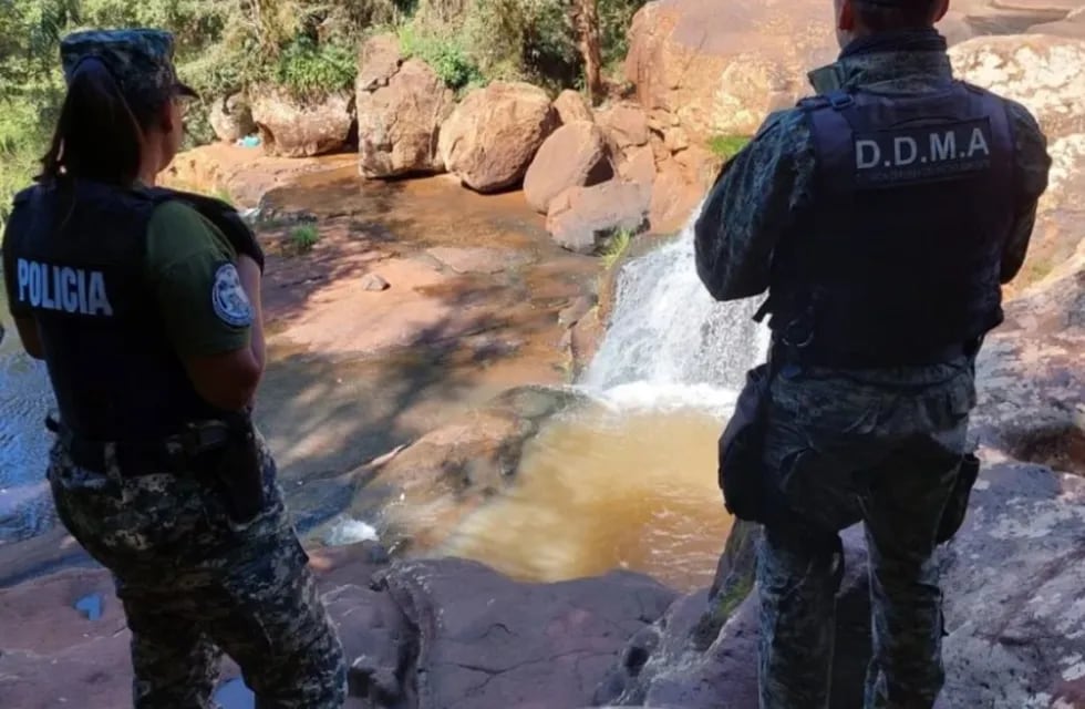 Detectan presencia de cazadores furtivos en Iguazú.