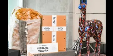 Jujuy exporta fibra de vicuña