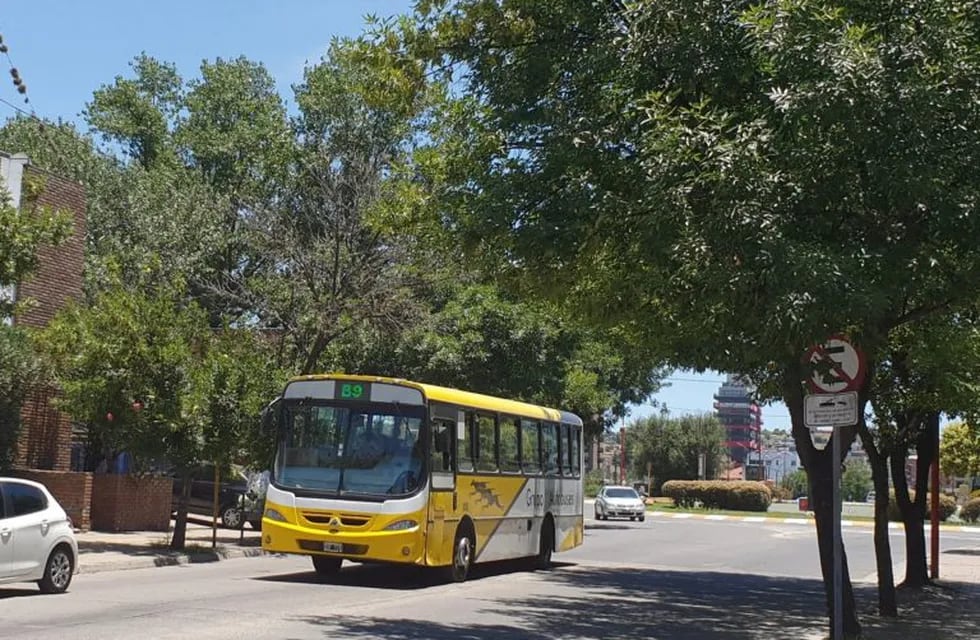 Servicio de Transporte Urbano en Villa Carlos Paz.