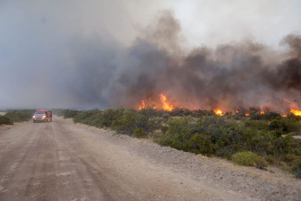 Hay casi 100 bomberos en Chubut intentando apagar el fuego.