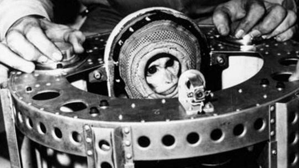 El mono Juan, el primer astronauta argentino
