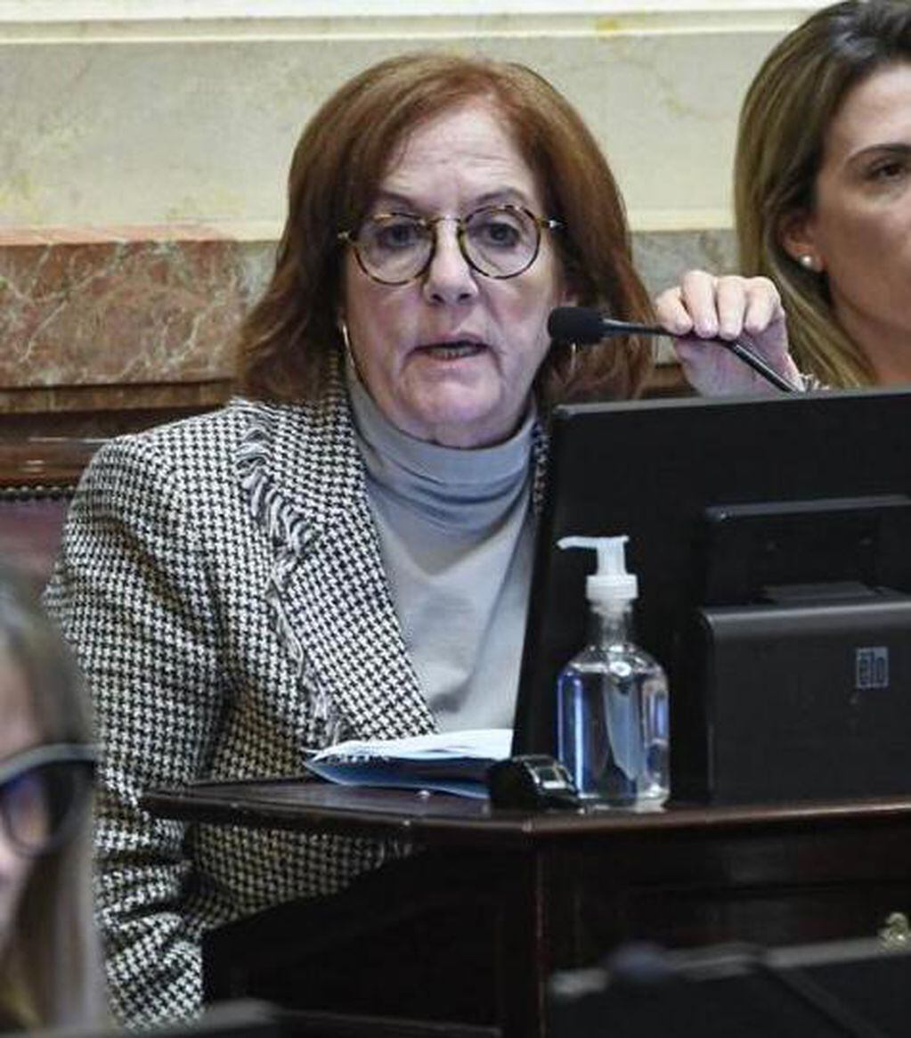 La senadora Alejandra Vigo cargó contra el Gobierno Nacional.