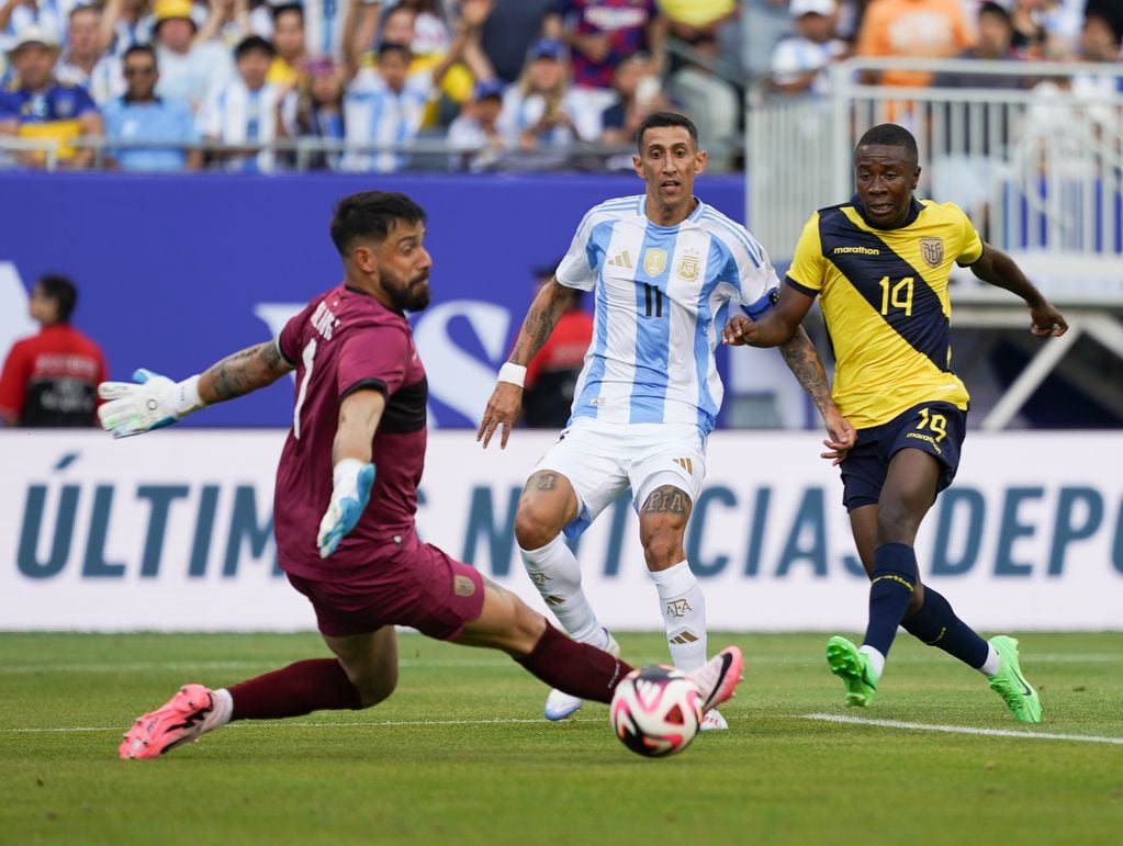 Ángel Di María, una de las figuras de la selección argentina en el triunfo ante Ecuador en Estados Unidos. (Prensa Argentina)