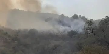 Incendios en Valle Fértil, San Juan.