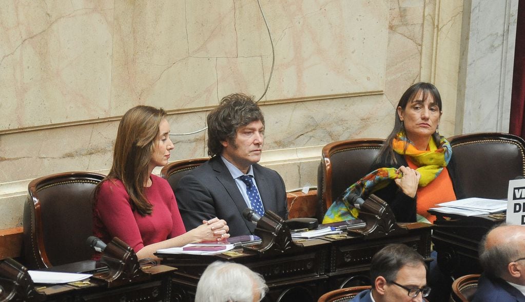 Javier Milei en la Cámara de Diputados. 
Foto Federico Lopez Claro