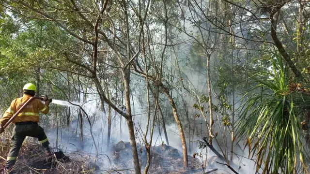 Ocho hectáreas de un área natural protegida consumidas por un incendio en Puerto Libertad