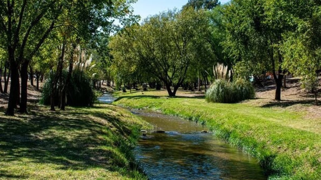 El Parque IV Centenario es un lugar perfecto para disfrutar y conectar con la naturaleza