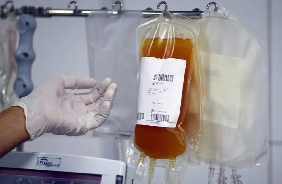 Tratamiento con plasma de pacientes recuperados. (REUTERS/Thaier Al-Sudani)