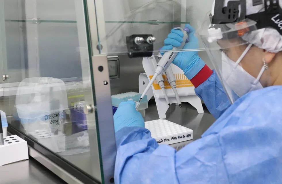 Investigadores brasileños aseguran que hallaron casos de co-infección con dos variantes del coronavirus.