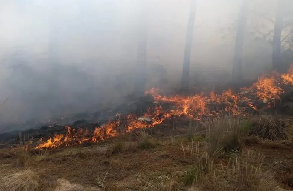 Fuego en la sierras de Calamuchita y Rio Cuarto