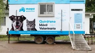 Móvil veterinario Maipú