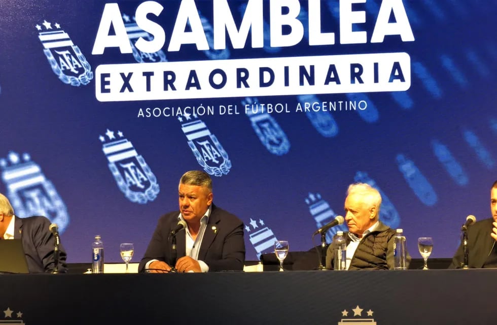 La AFA decidió eliminar uno de los tres descensos de la Liga Profesional. Foto: Los Andes.