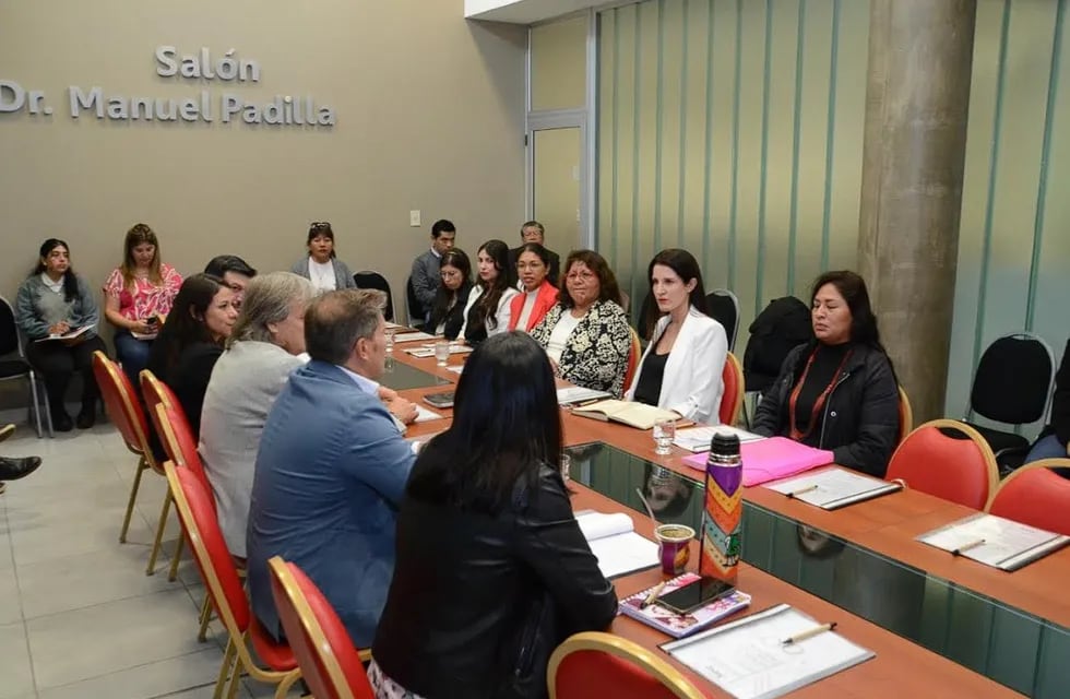 El equipo técnico de la Secretaría de Derechos Humanos, que conduce Marcela Infante (al centro), formalizó la presentación de su plan de trabajo anual ante la comisión legislativa que trata el tema.