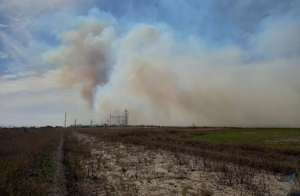 Imagen ilustrativa. Bomberos controló un incendio forestal en la zona de Ruta 33 y calle Pueyrredón.