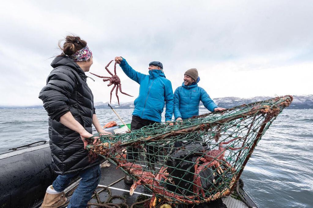 La legislatura aprobó hoy por unanimidad el proyecto de ley que prohíbe la salmonicultura en Tierra del Fuego.
