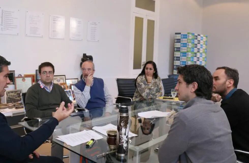 Capitanich encabezó la reunión con profesionales de los colegios de Chaco y Mendoza. (Prensa Municipalidad de Resistencia)