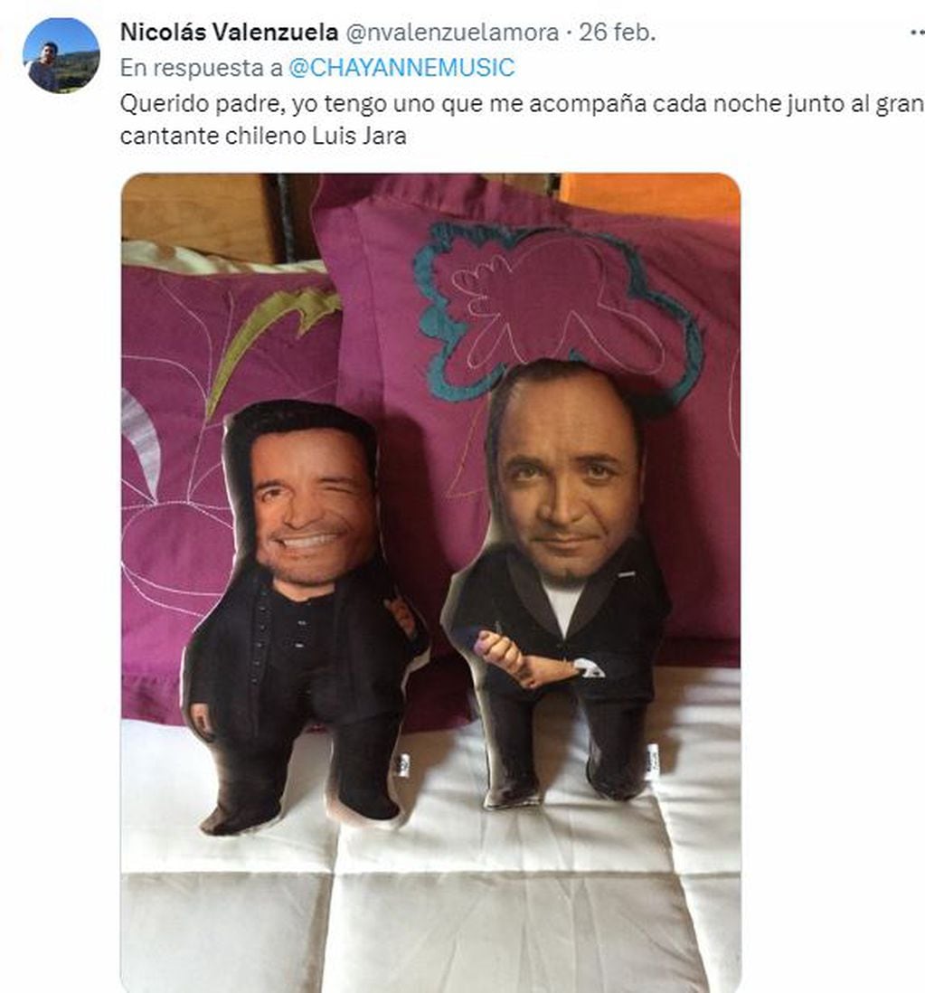 Algunos fanáticos mostraron la almohada de Chayanne junto a las de otros artistas como Luis Miguel y Luis Jara