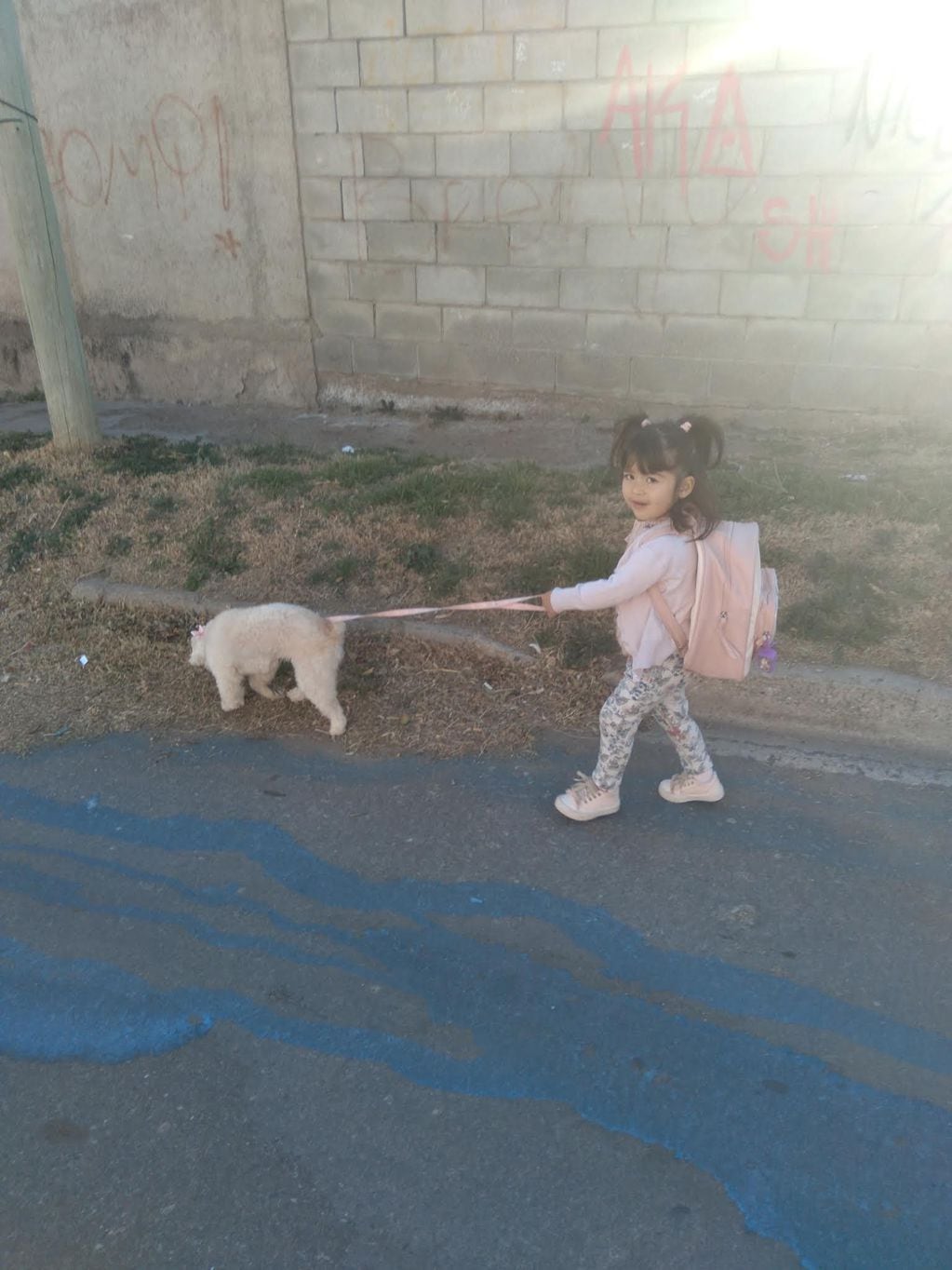 Francina paseando a Mía por San Luis.