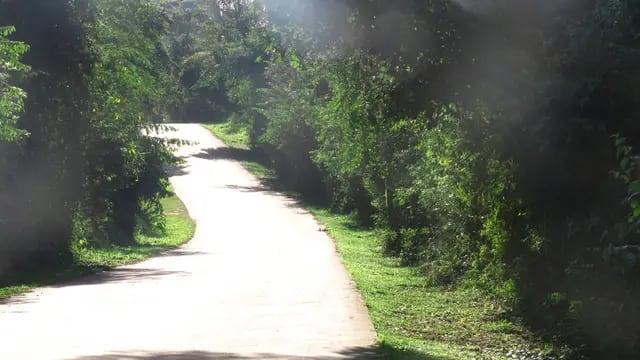 Iguazú: atacaron a una ciclista que paseaba por las 600 hectáreas
