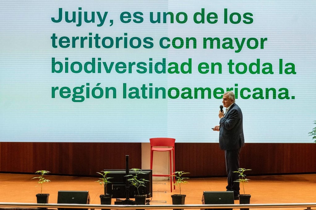 El proyecto de cannabis medicinal encarado en Jujuy "abre oportunidades de desarrollo científico, tecnológico, económico y de salud pública", aseveró el gobernador Morales.