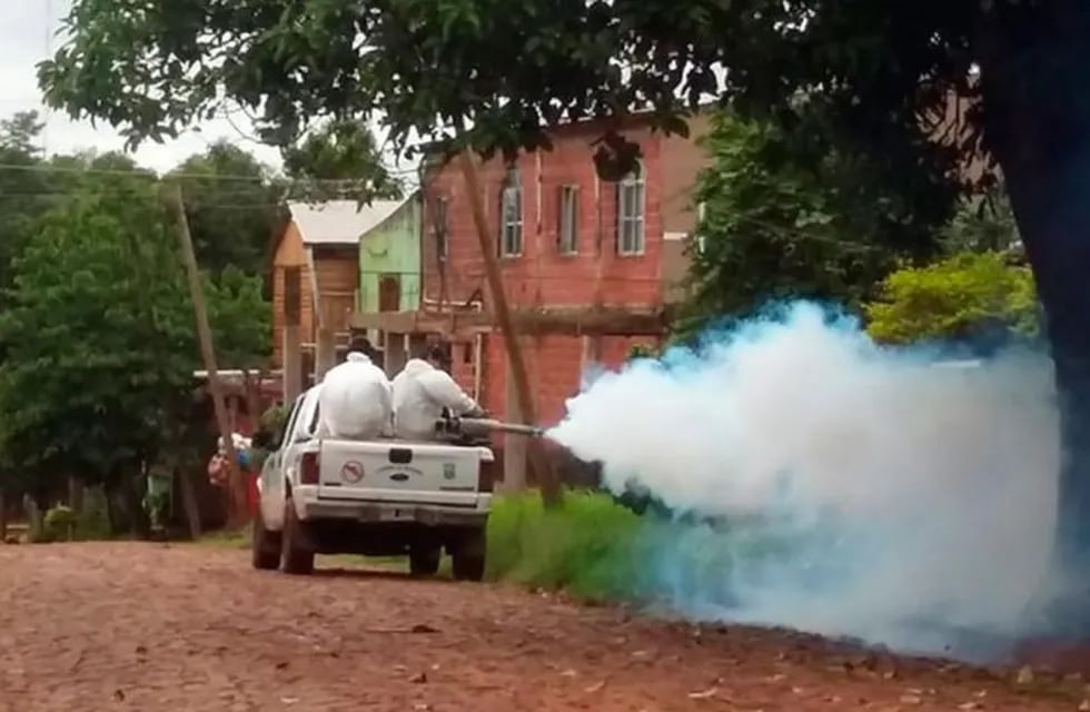 Intensifican la lucha contra el dengue en la ciudad de Oberá