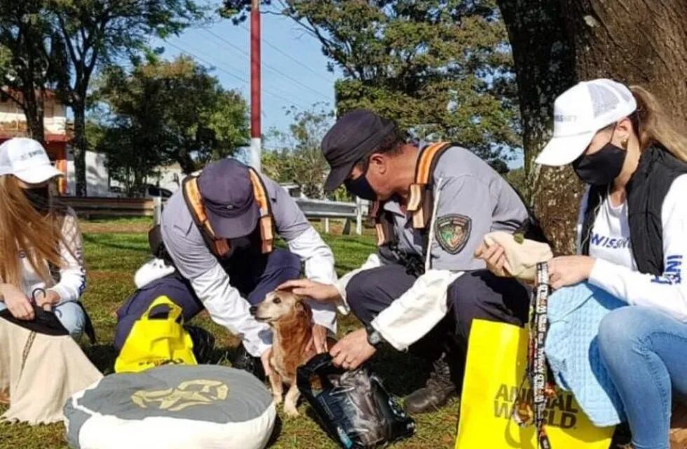 Se realizó un reconocimiento para el perro salchicha de la Policía de Jardín América
