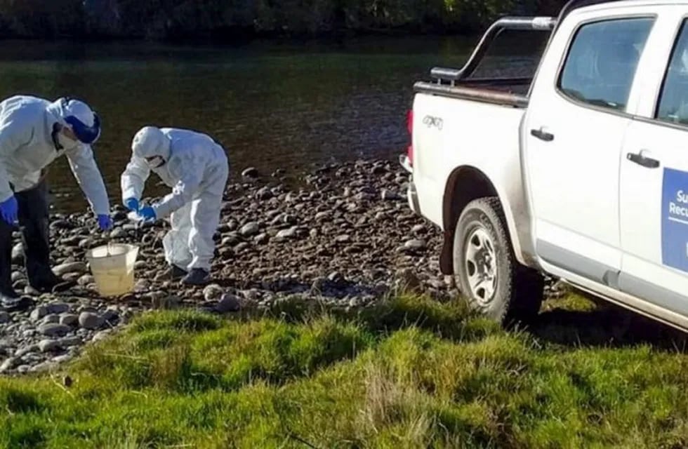 Controlan aguas residuales para detectar el SARS-CoV-2 en Neuquén