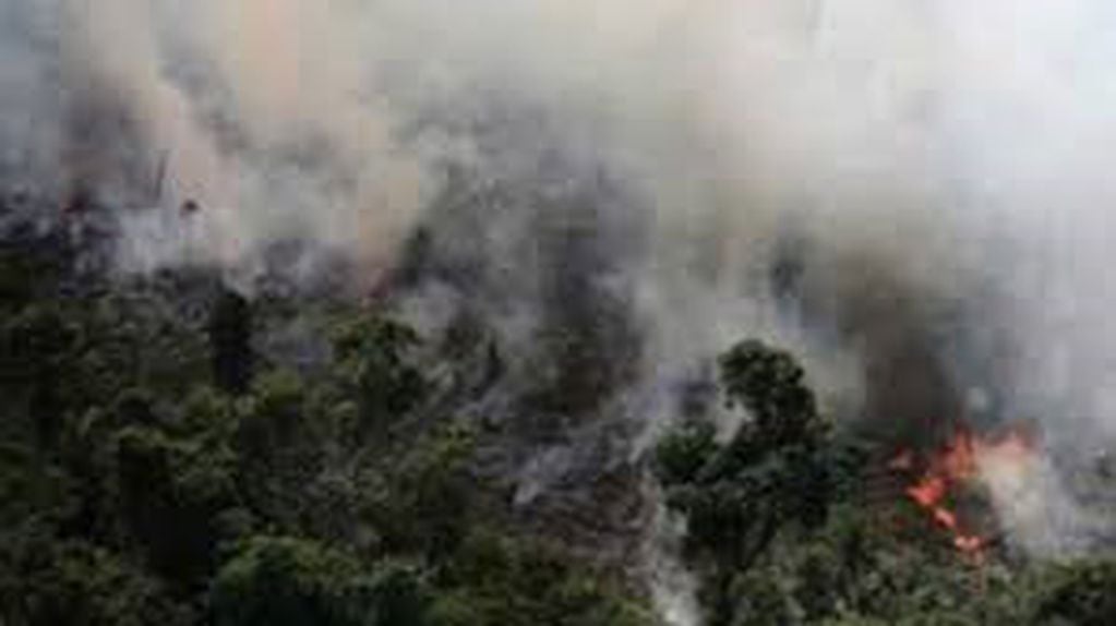 Incendios en el Chaco que comparten Paraguay y Brasil afecta ahora el sur de Misiones. (ABC Color)