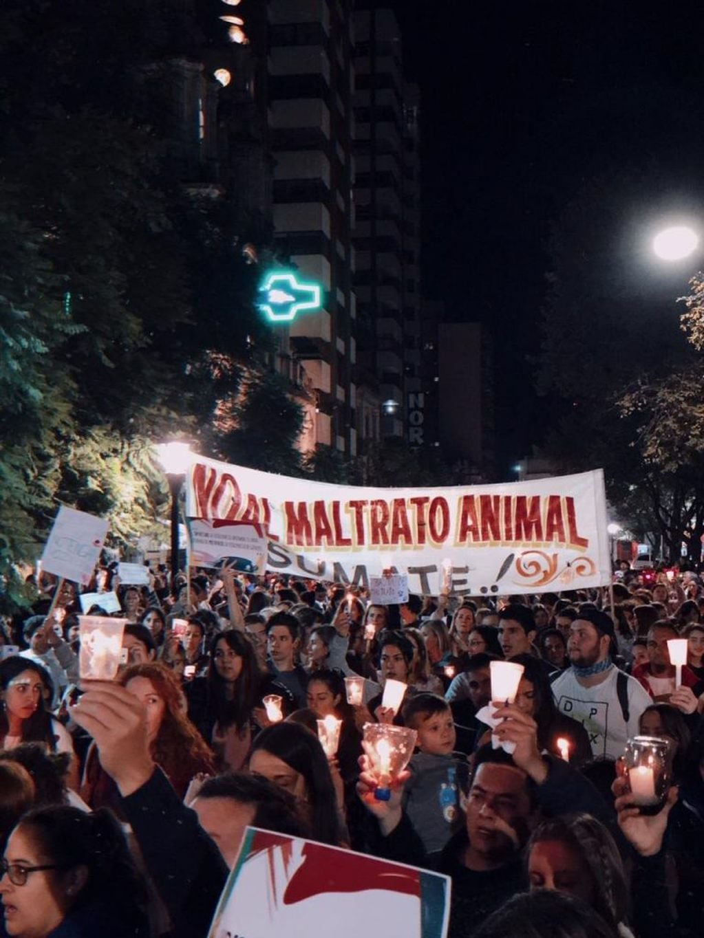 Rosita, la perra despellejada en Río Cuarto, movilizó una gran cantidad de personas para pedir justicia por la agresión. (LV 16 Radio Río Cuarto)