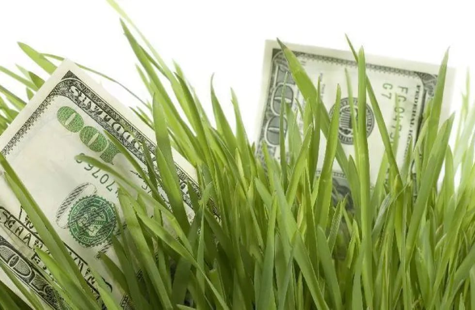 Este lunes operó la primera rueda del "dólar agro". Foto: Archivo.