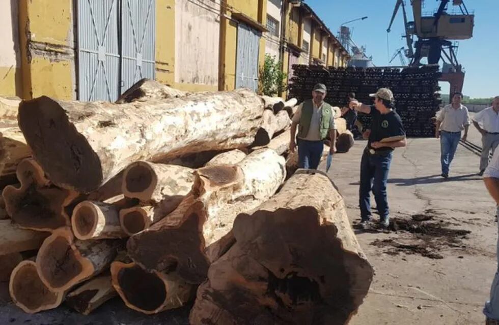 Las 80 toneladas de rollos de madera transportados de forma ilegal.