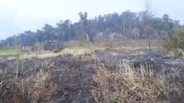 Los incendios forestales arribaron hasta Montecarlo y los vecinos debieron ayudar a los Bomberos