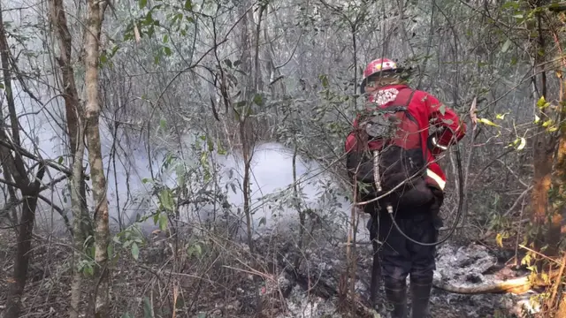 Incendio en Cerro Corá: se reactivó el fuego a causa de los vientos